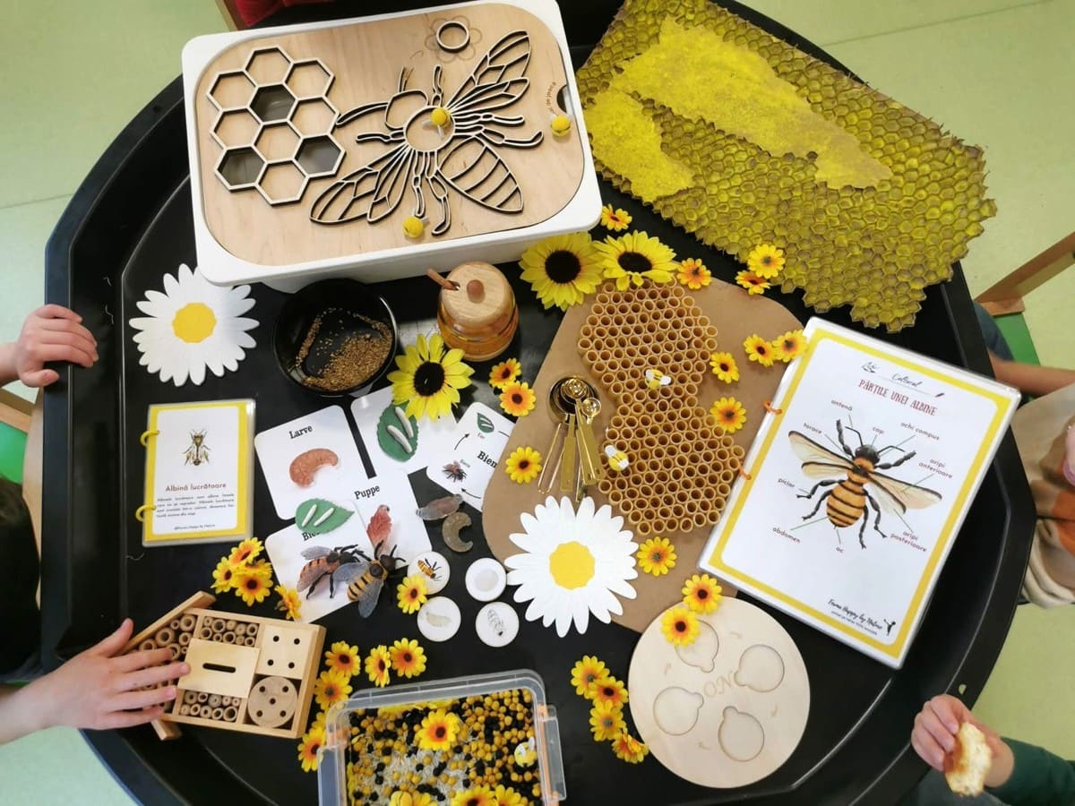 Sinnestisch zum Thema Bienen und Blumen