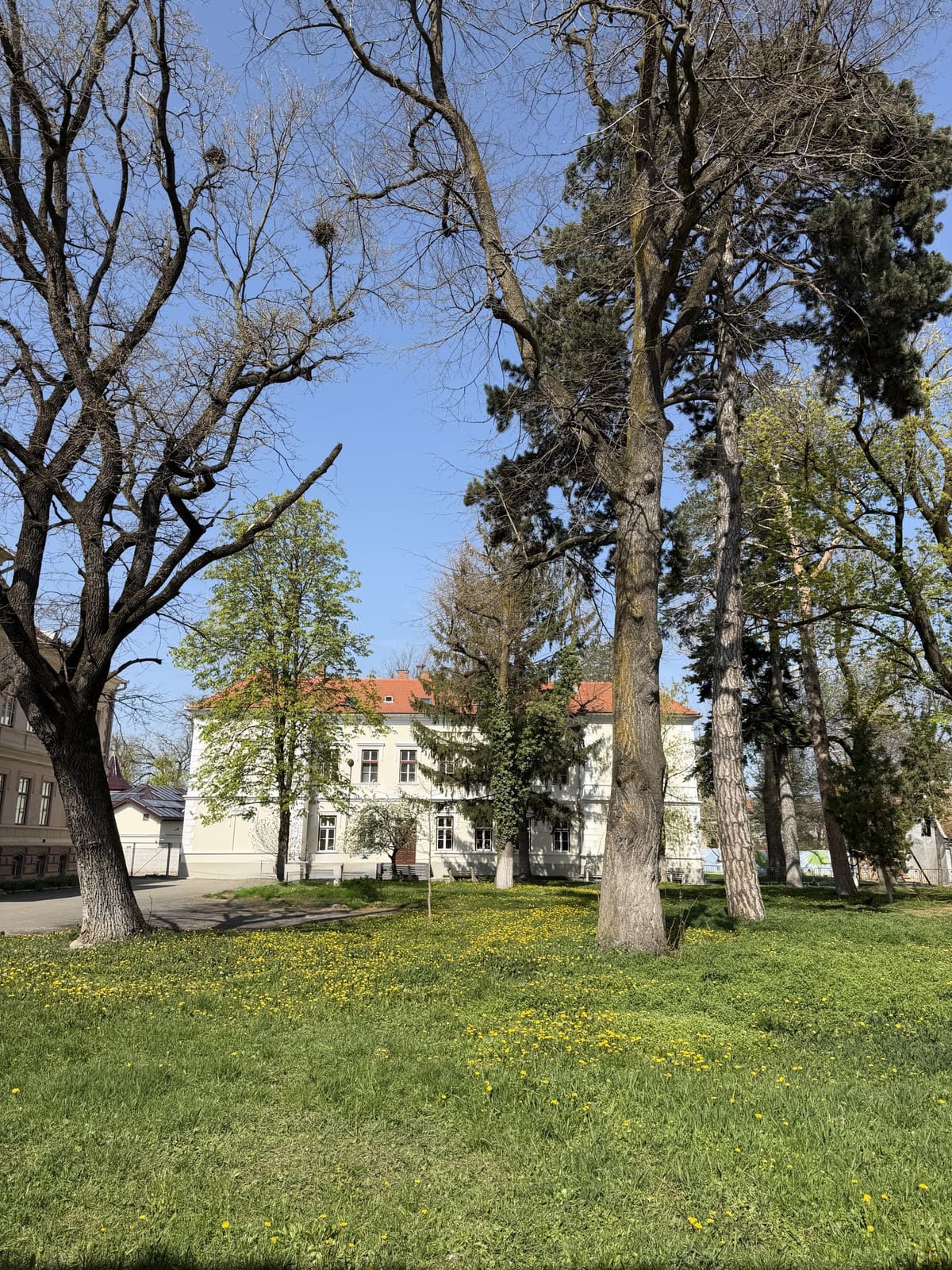 Der Garten im Frühling, im Hintergrund das Kindergartengebäude