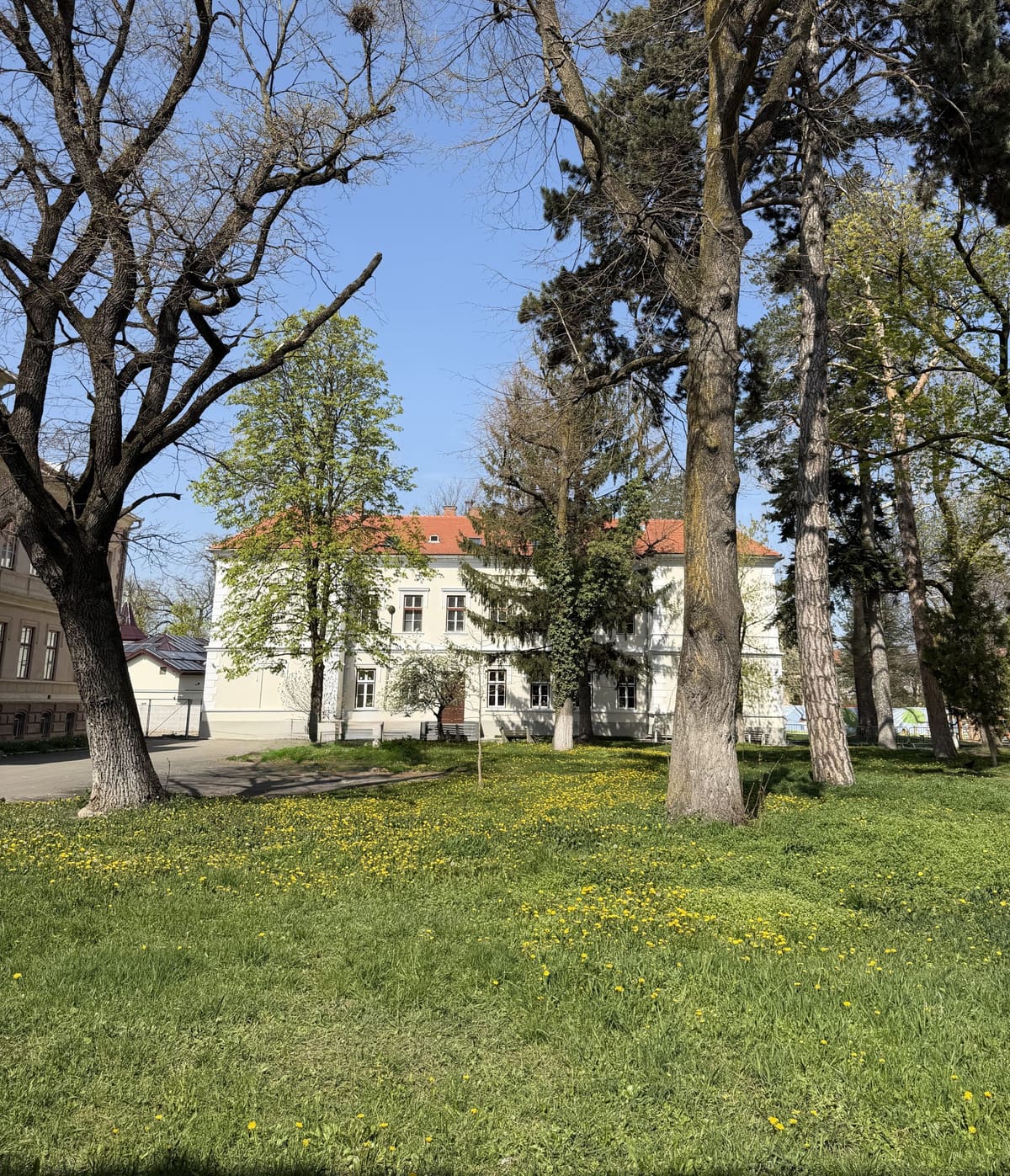 Wiese und Bäume vor dem Kindergartengebäude