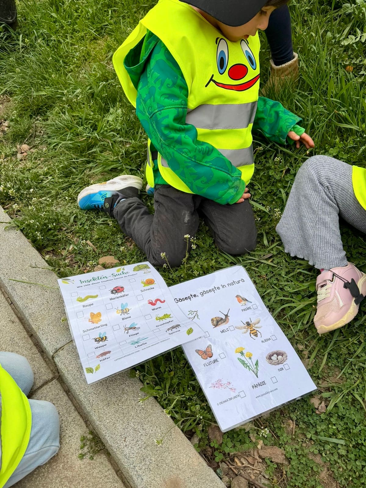 Kind betrachtet ein Arbeitsblatt über Insekten im Gras