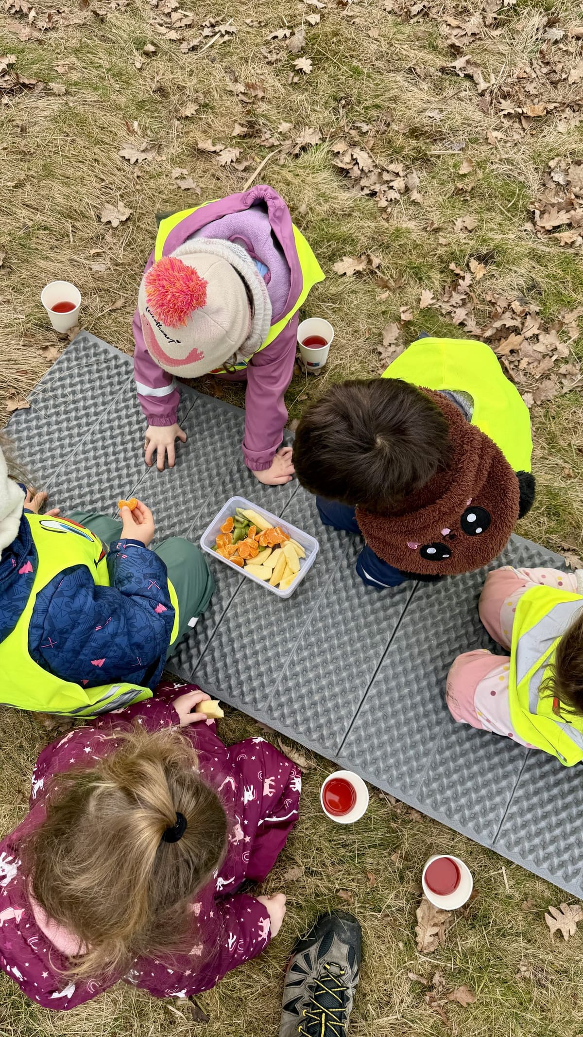 Kinder beim Picknick auf der Wiese