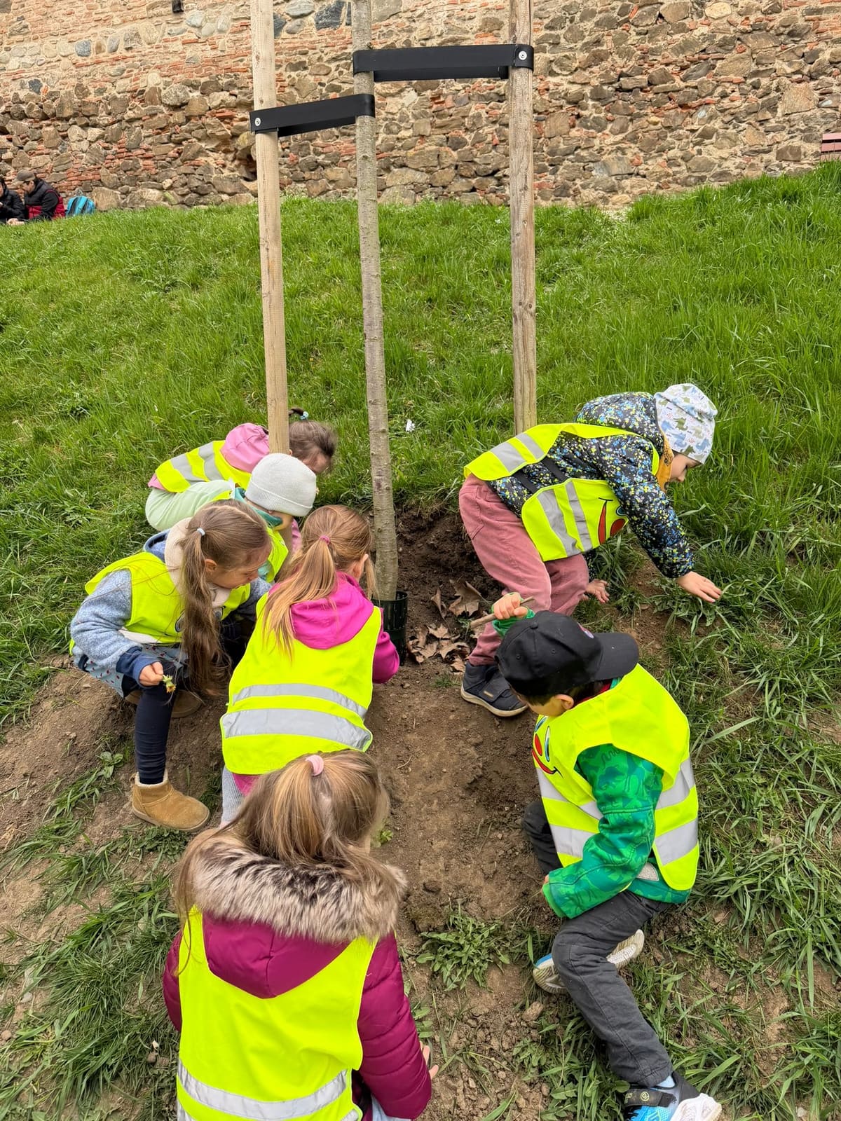 Kinder in Warnwesten pflanzen einen Baum